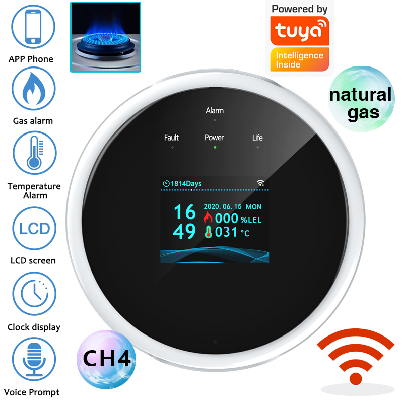 Home Security And Monitoring - Sensore di Allarme Gas WiFi 2.4G,