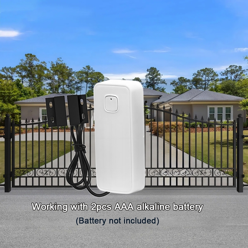 Rilevatore magnetico per porte - Home Security Gate recensione e prezzo