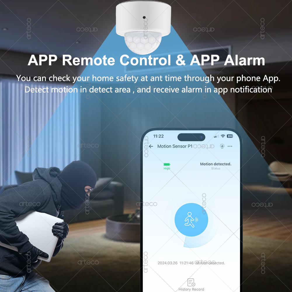 Ewelink Zigbee PIR Sensore di  - Home Security Wireless recensione e prezzo