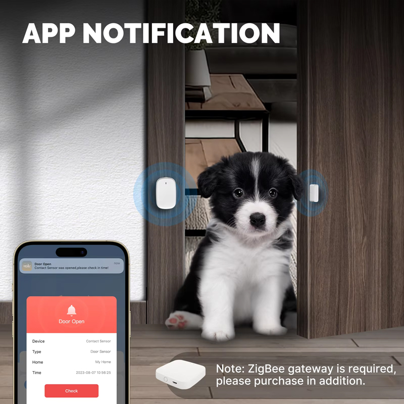 Sensore per Porte e Finestre M - Home Security Gate recensione e prezzo