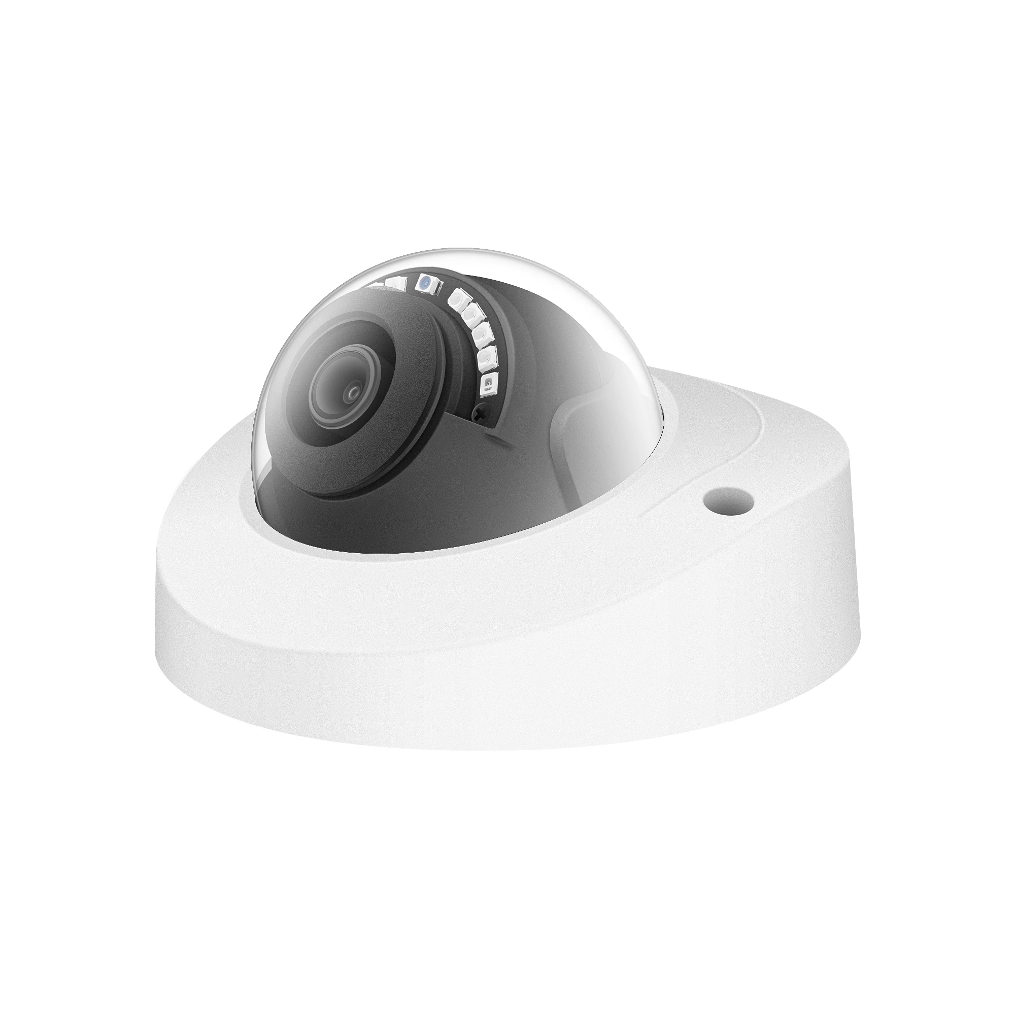 Telecamera IP POE Antivandalis - Home Security Video Recording Systems recensione e prezzo