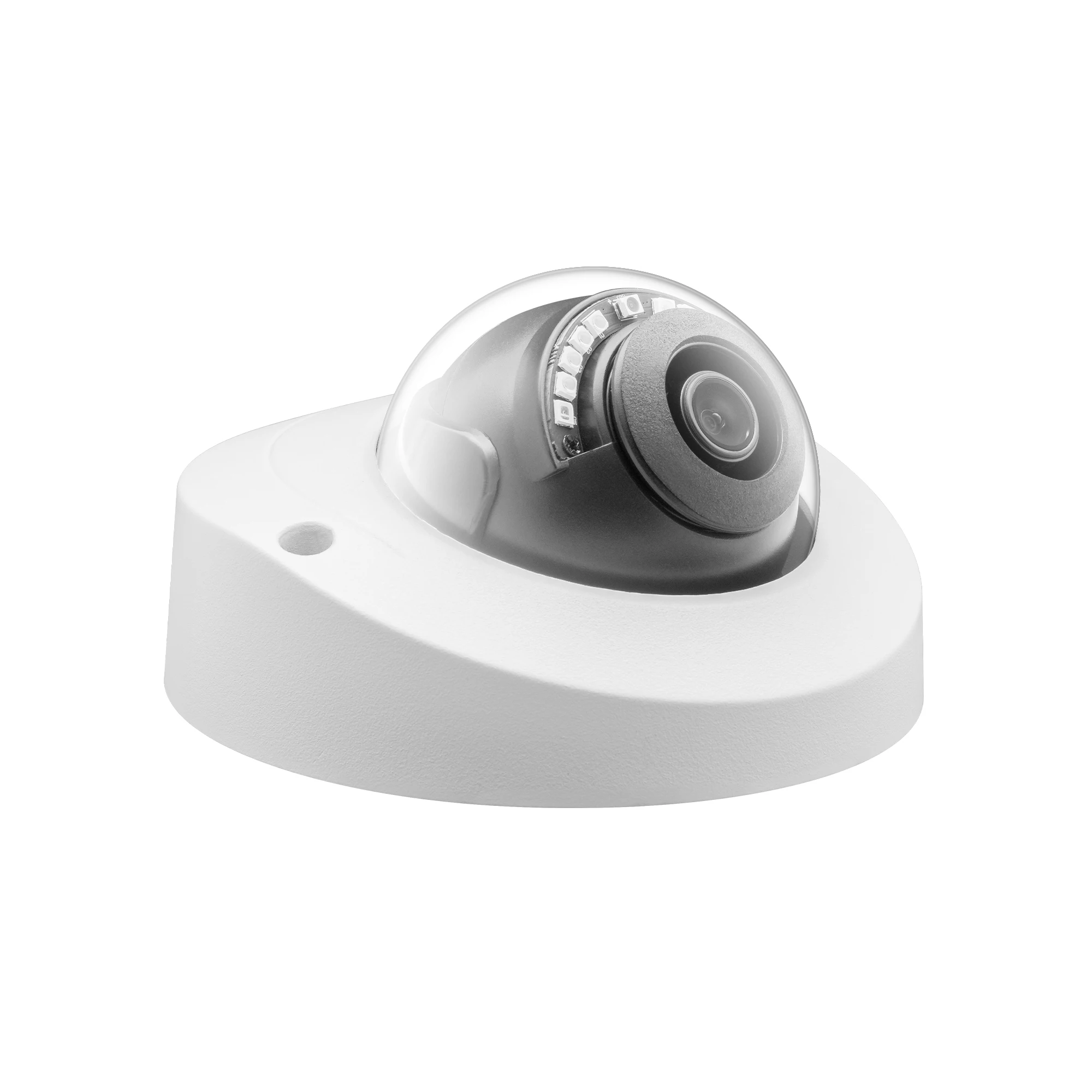 Telecamera IP POE Antivandalis - Home Security Video Recording Systems recensione e prezzo