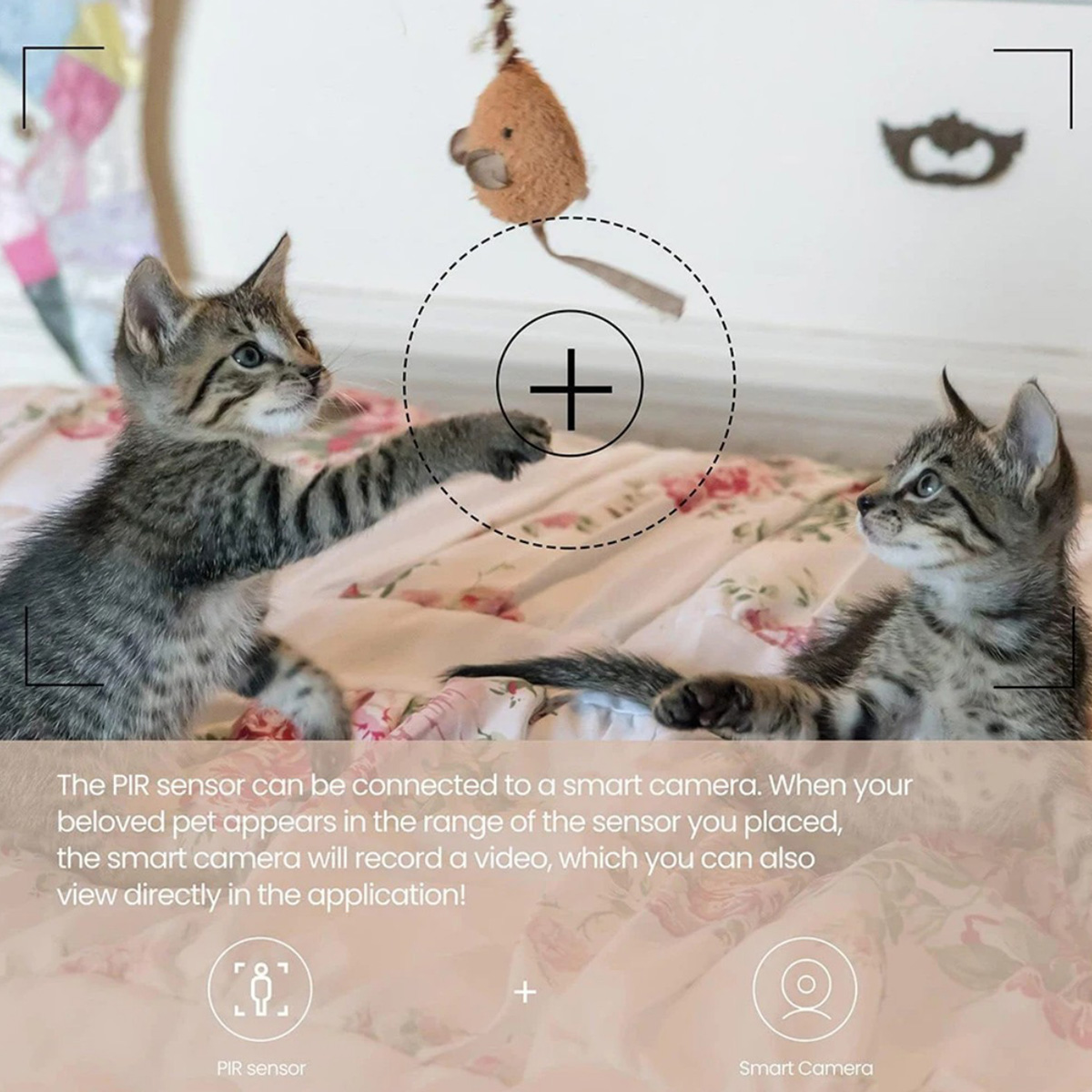 Sensore di Movimento PIR ZigBe - Home Security Wireless recensione e prezzo