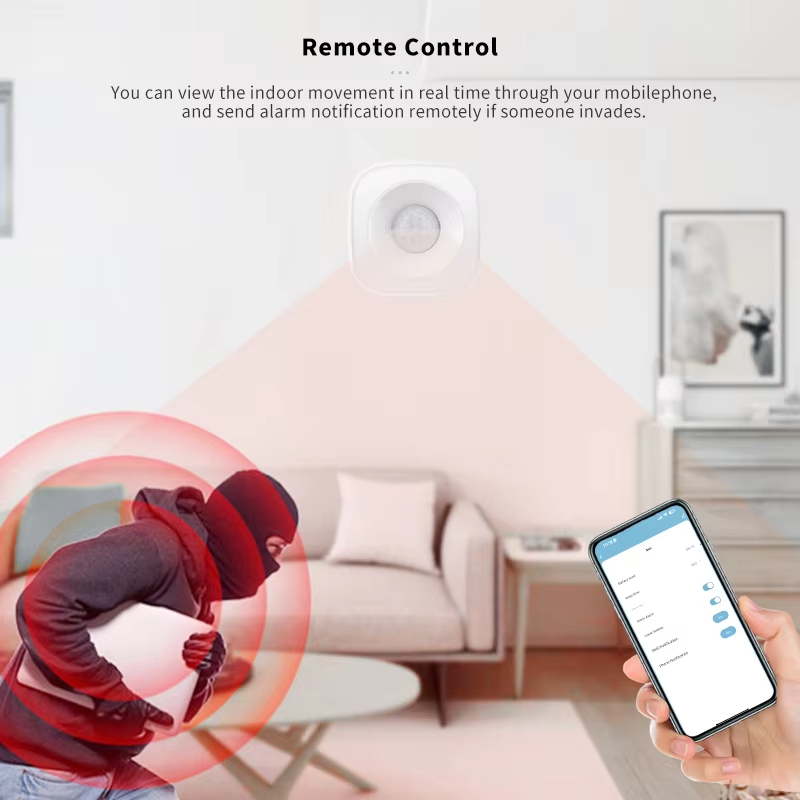 Tuya ZigBee/WiFi Sensore di mo - Home Security Wireless recensione e prezzo